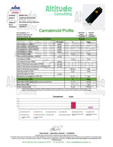 Berry Watermelon THC CBD Vape Pen 2g Disposable